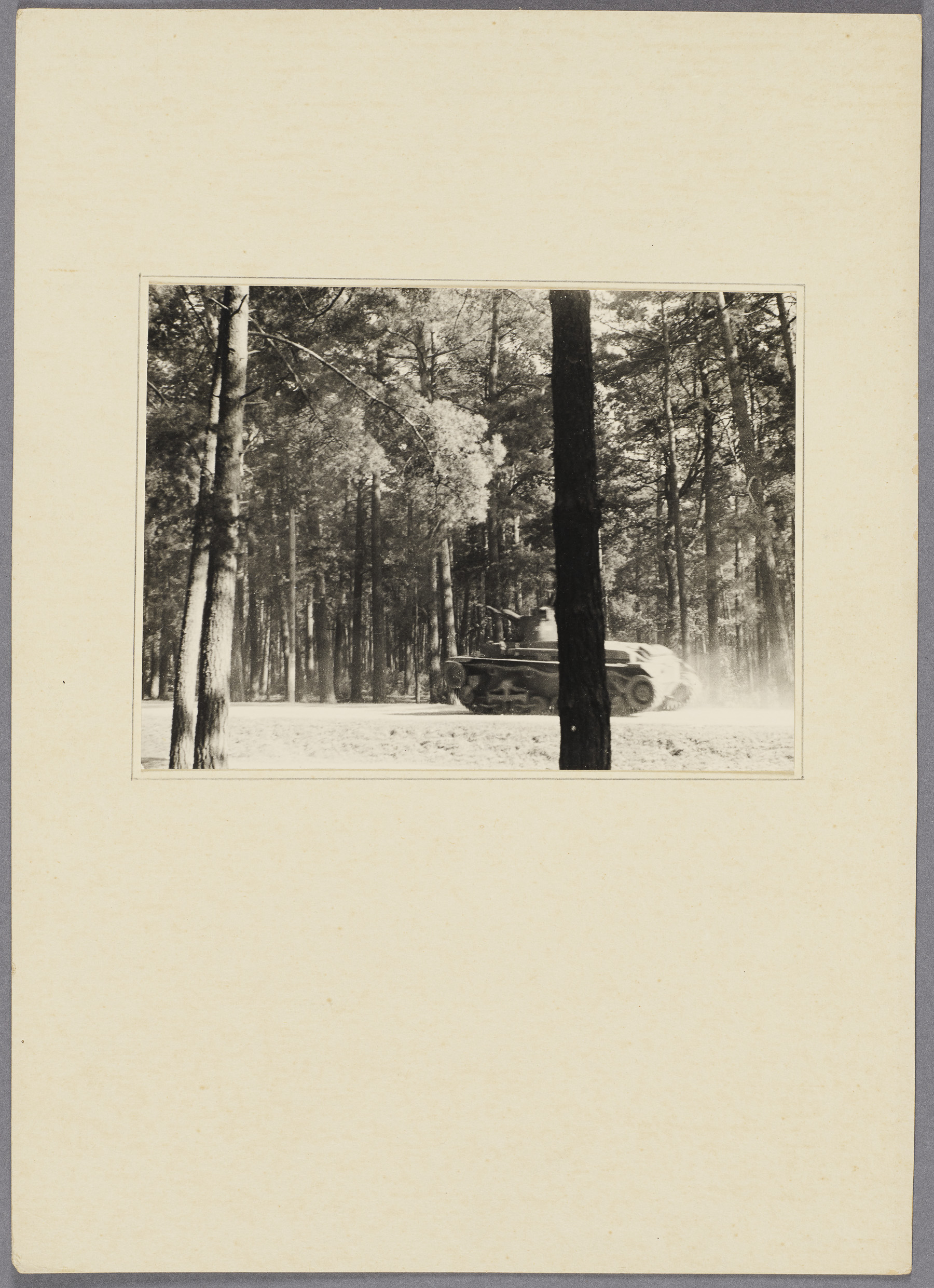 Panzer im Wald